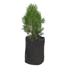 Cyprus - සයිප්‍රස්