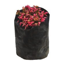 Mal Mukunuwenna - මල් මුකුනුවැණ්ණ