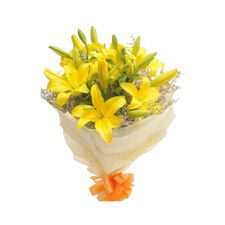 Enchanted Lily Medley