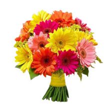 Rainbow Symphony Gerbera Bouquet