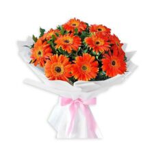 Vibrant Gerbera Delight Bouquet