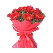 Lovely Gerberas Bundle