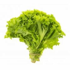 Lettuce - සලාද කොල - 500 g