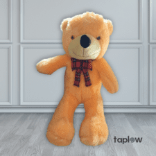 Transparent PNG product thumbnail (small icon) â€” likely product graphic.