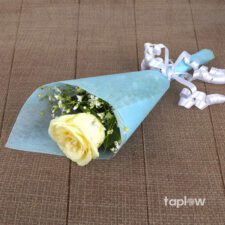 Single fresh white rose with stem on plain background