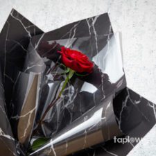 Regal Bloom Ensemble