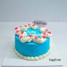 Star Gazer Cake