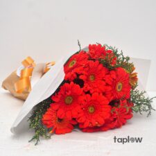 Orange Gerbera  Daisy Bouquet