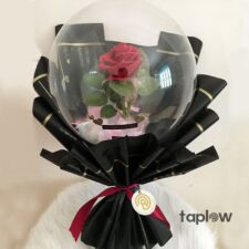 Single red rose in clear bubble balloon with black decorative wrap