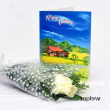 Blazing Beauty Birthday Gift Set