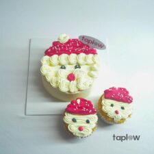 Santa Cake Assorted Pack