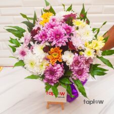 Rainbow of Chrysanthemums