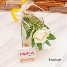 Single boxed white rose with greenery and taplow tag