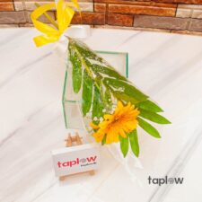 Yellow Gerbera Daisy Bunch