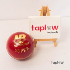 Cricket Leather Ball