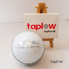 Gray Nicolls Test Crown White 4-P Leather Ball