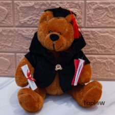 Graduation Coat Bear – Brown