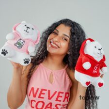 Chocolate dessert cake topped with strawberries and cream