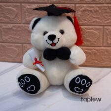 Grad Bear – Medium