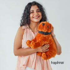 Bruno – The Snuggle Pup