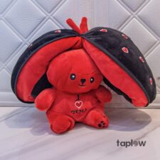 Cute Ladybird Plushier