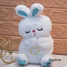 Whisper Breathing Bunny