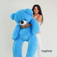 Chocolate fudge cake topped with icing sugar and cocoa dust