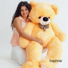 Honey Hug Bear
