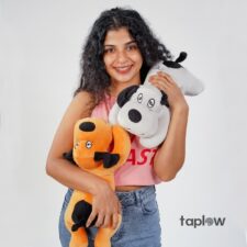 Dark chocolate mousse cake with cream rosettes