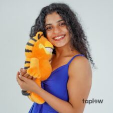 Garfield Hugster Plushie