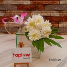 White Chrysanthemum Blossom