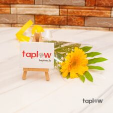 Yellow Gerbera Daisy Bunch