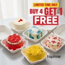 Taplow Bento Bliss – Buy 4 Get 1 Free
